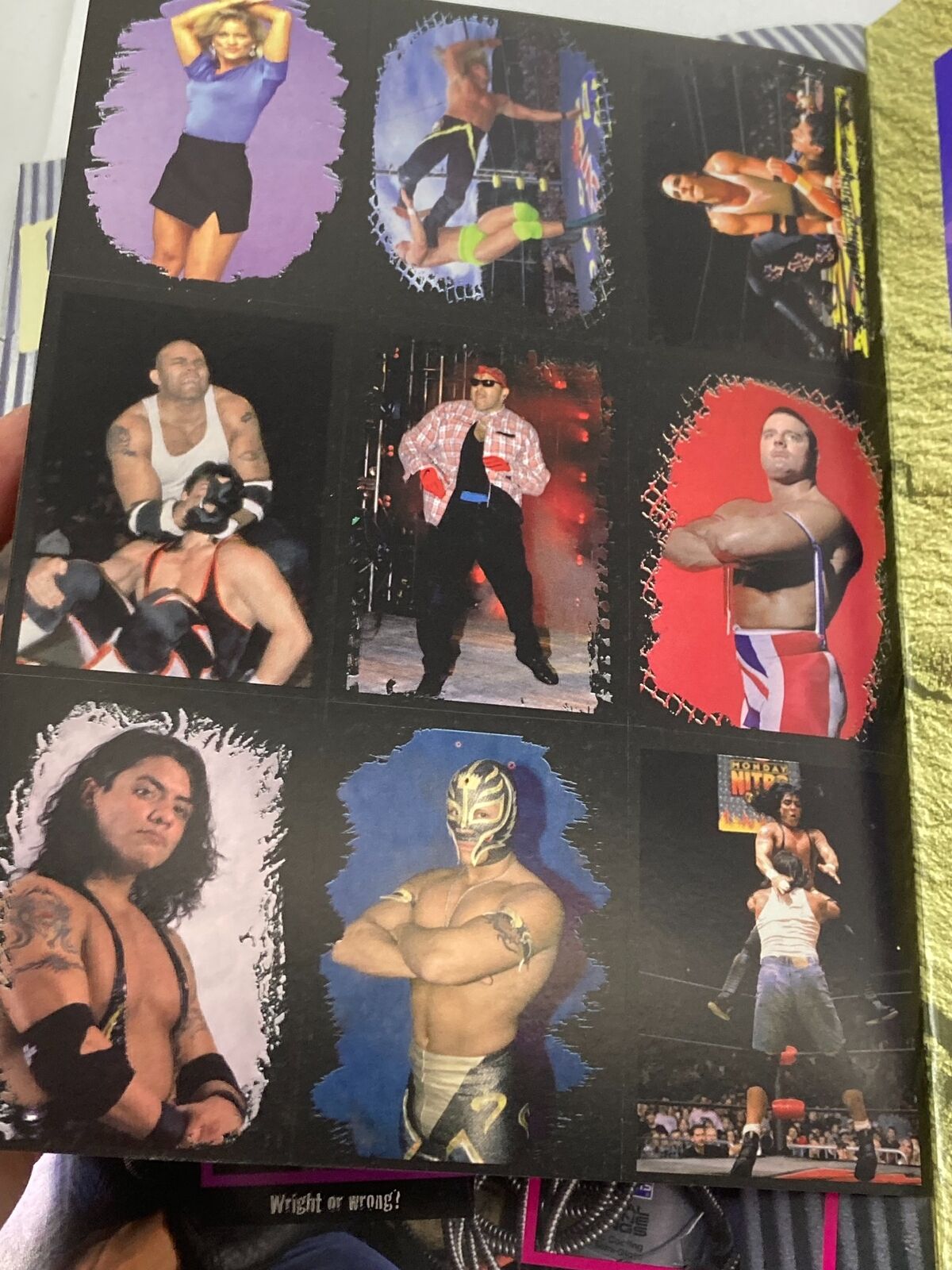 Another inside page of the 1999 WCW and NWO Sticker Book featuring action shots of wrestling stars in colorful backgrounds.