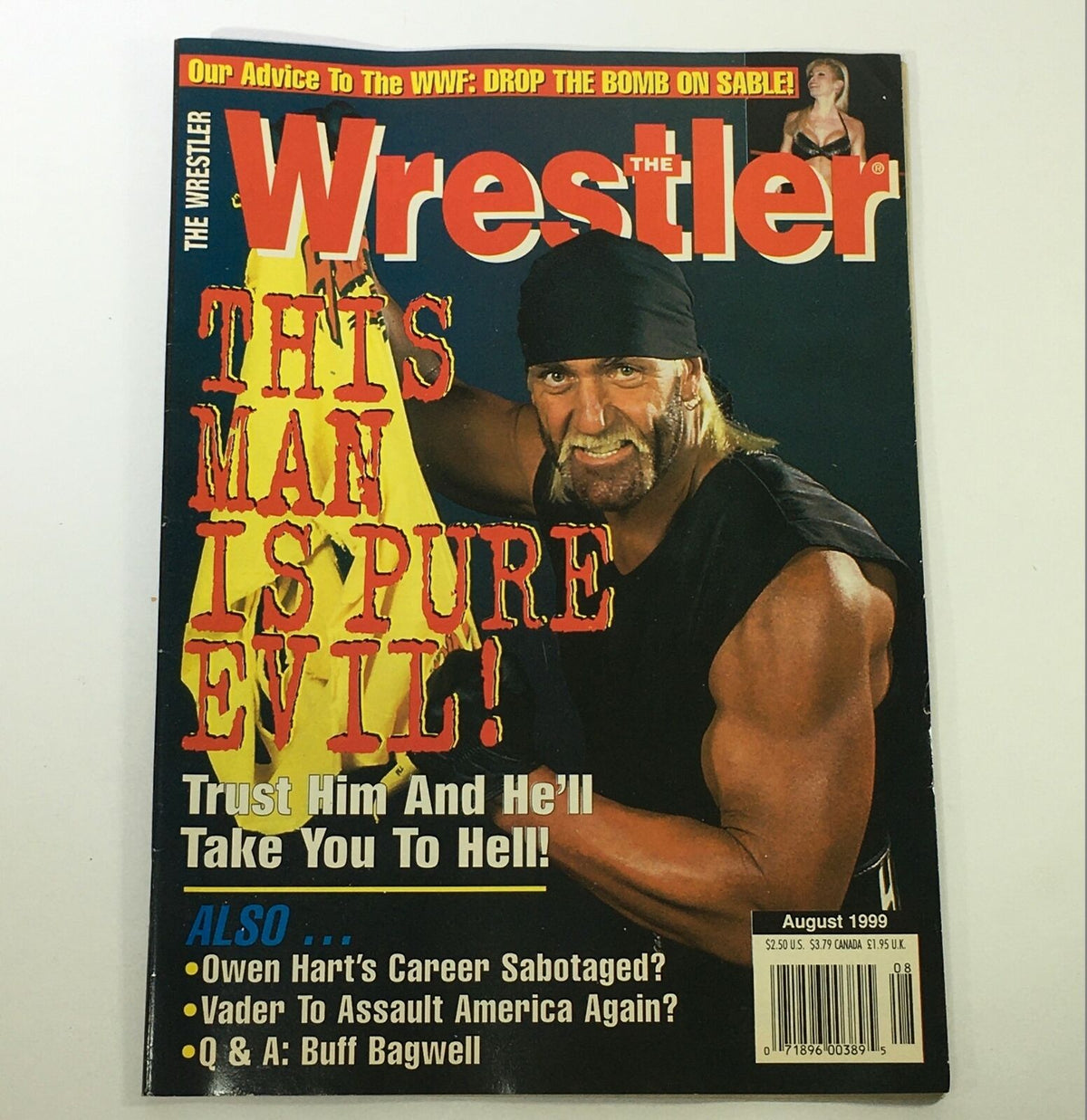Cover of VTG The Wrestler Magazine August 1999 featuring Hollywood Hulk Hogan with the headline 'THIS MAN IS PURE EVIL!' highlighting wrestling topics and interviews.