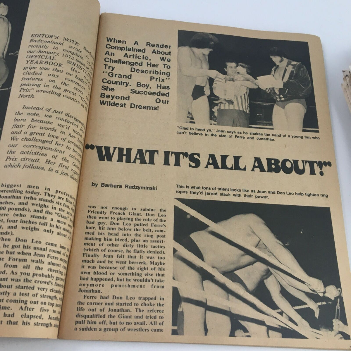 Article page from Wrestling Guide Magazine November 1973 titled 'What It's All About,' discussing wrestling intricacies with photographs of wrestlers in action.