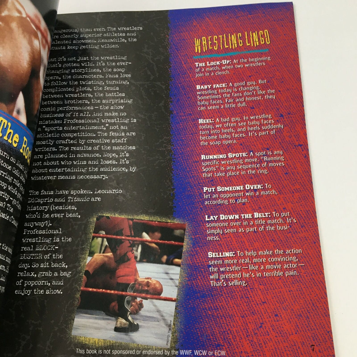 Interior page of WWF WCW ECW Wrestling The Bottom Line explaining wrestling lingo with a visual of a wrestling match.