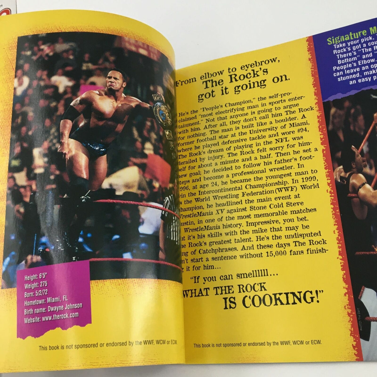 Image of WWF WCW ECW Wrestling The Bottom Line featuring The Rock performing in the ring, showcasing athleticism and character.