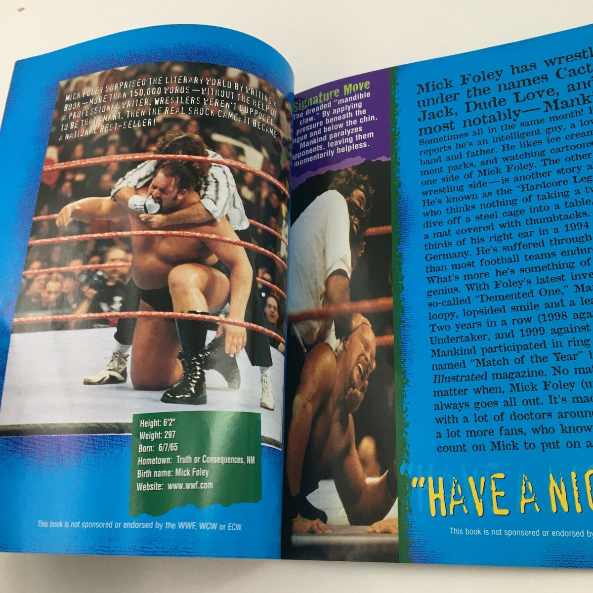 Image from WWF WCW ECW Wrestling The Bottom Line depicting Mick Foley in action, illustrating his wrestling style and signature moves.