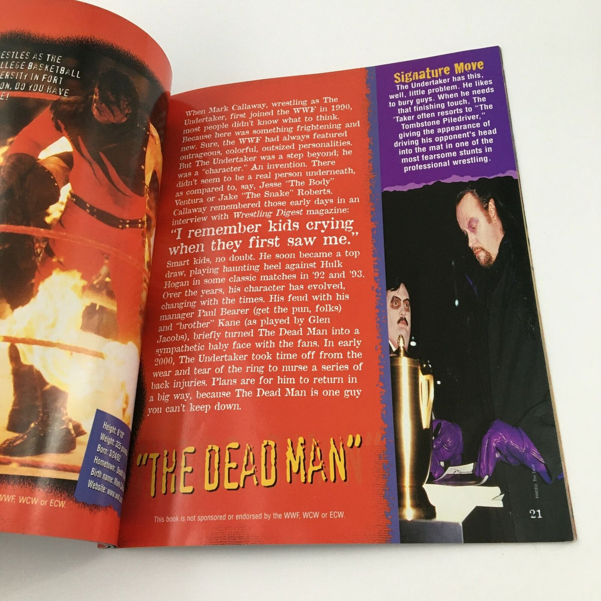 Image highlighting The Undertaker in WWF WCW ECW Wrestling The Bottom Line, capturing his iconic persona and dramatic presence.