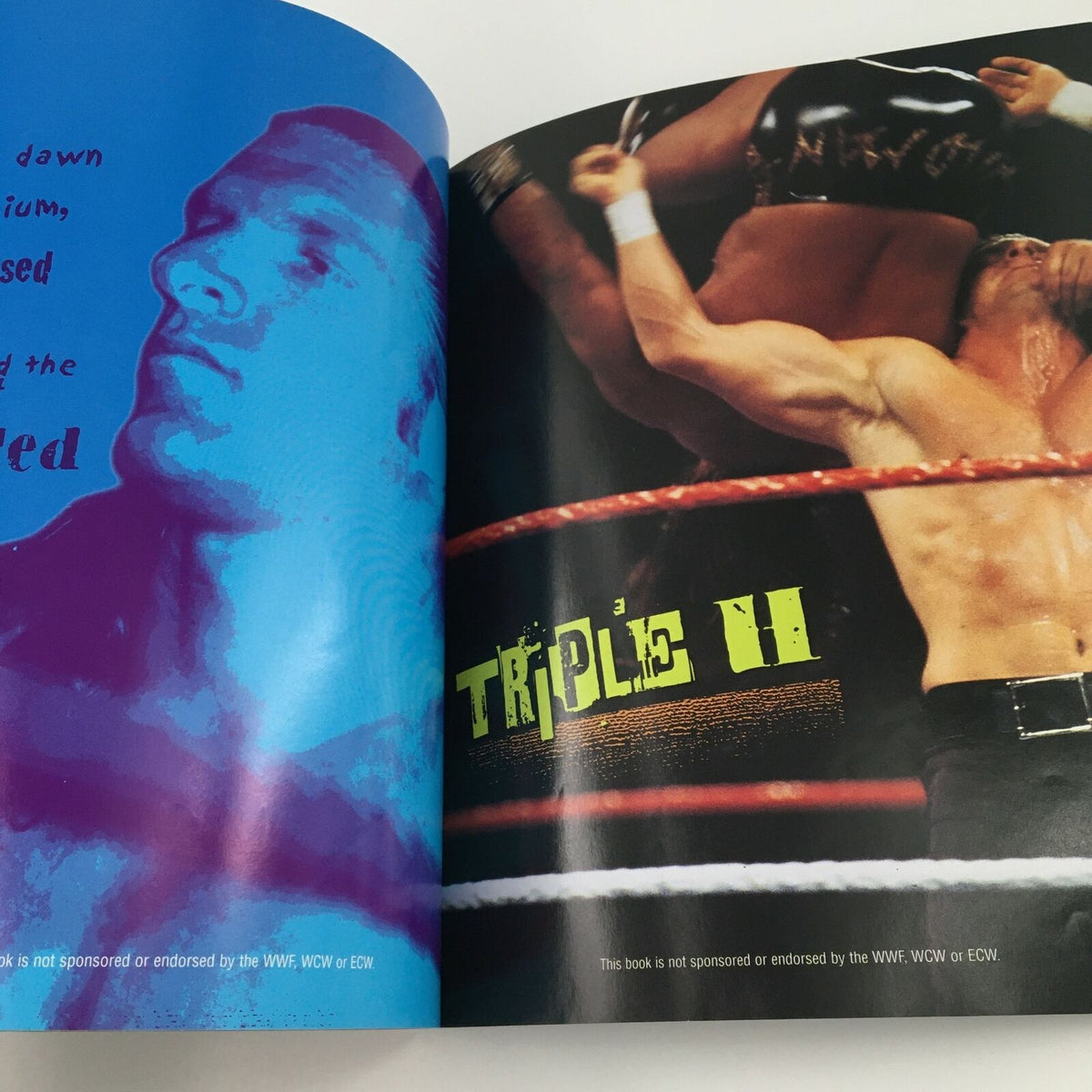 Image featuring Triple H in WWF WCW ECW Wrestling The Bottom Line, showing his powerful wrestling technique during a match.