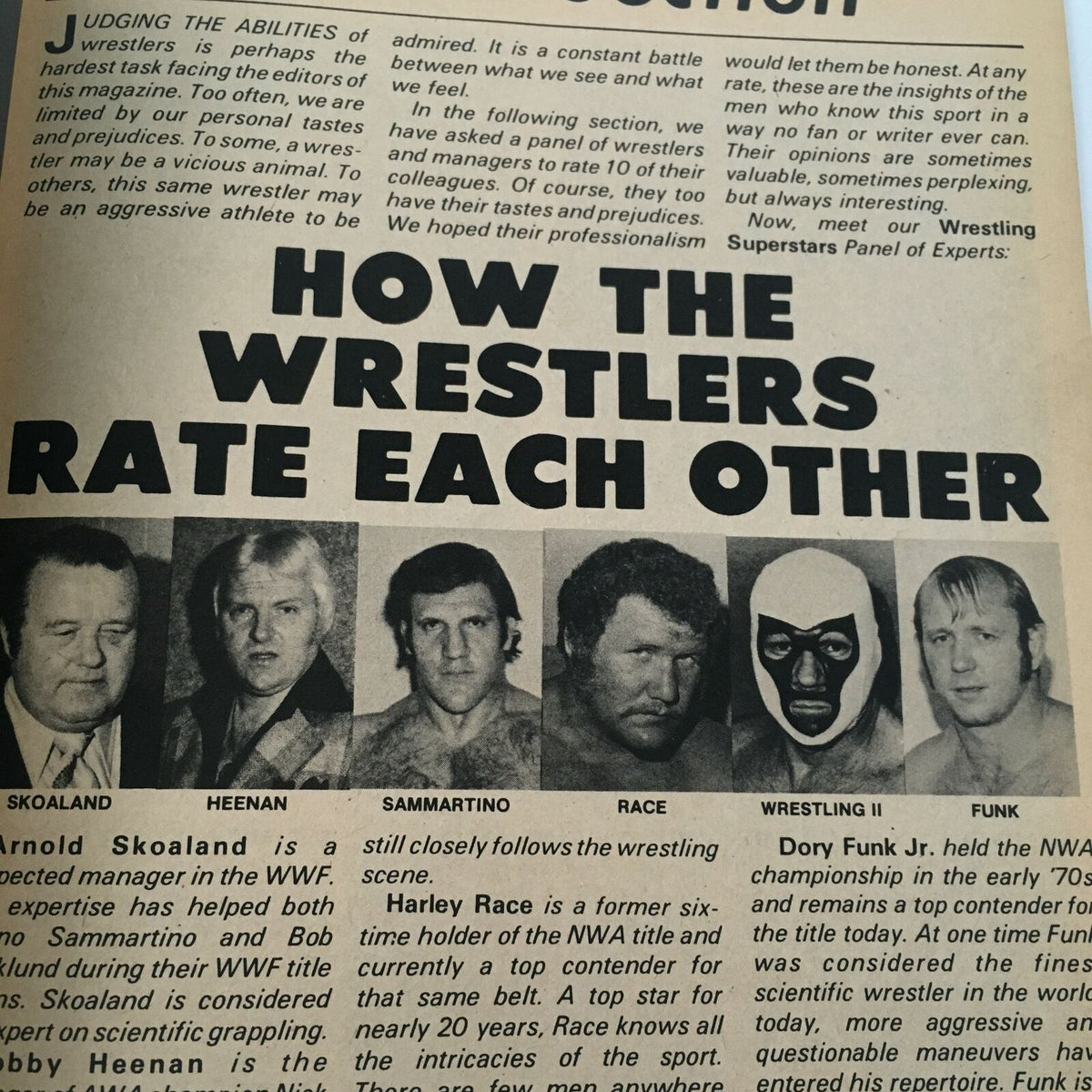 Page from Wrestling Super Stars Magazine Spring 1982 featuring an article titled 'How the Wrestlers Rate Each Other', with images of notable wrestling figures.