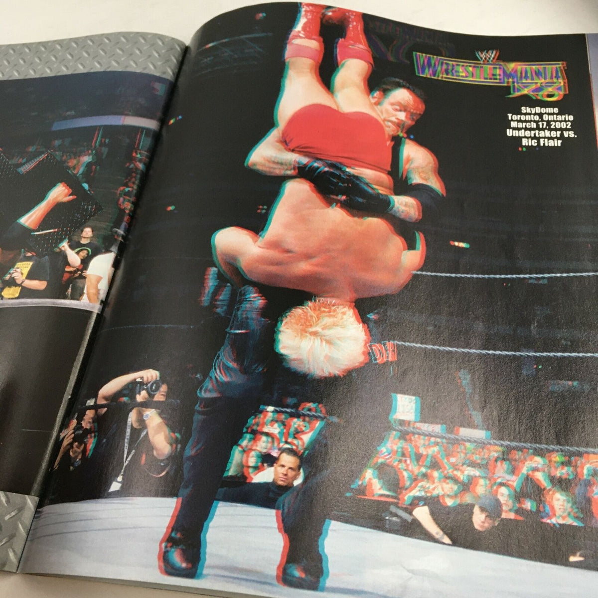 3D visual from WWE Wrestle Mania April 2004, depicting a dramatic moment between The Undertaker and Ric Flair.