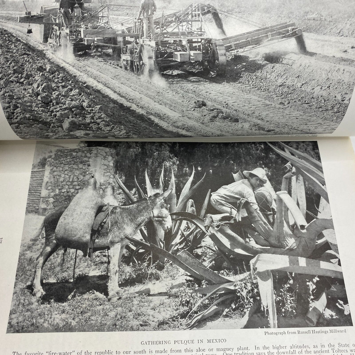 Vintage photograph from VTG The National Geographic Magazine October 1919 depicting the gathering of Pulque in Mexico.