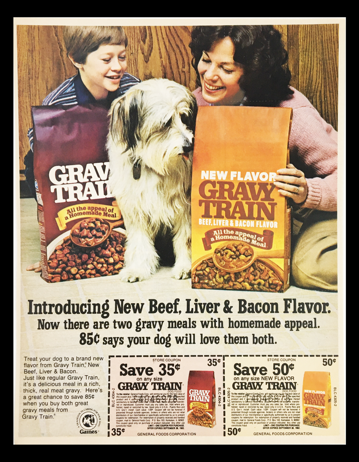 1982 Gravy Train Dog Homemade Meal Circular Coupon Advertisement featuring a woman and child holding bags of Gravy Train dog food, with a dog sitting at their feet. Highlights new flavors and coupon offers.