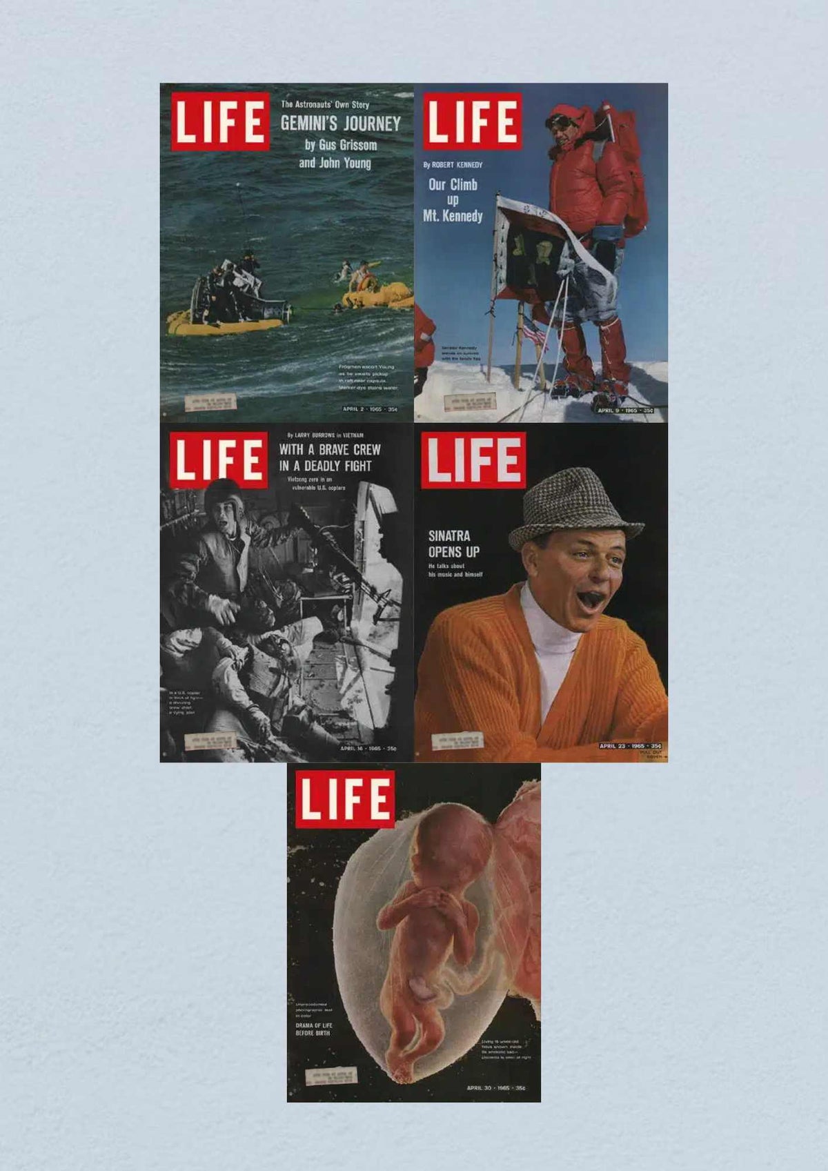 Life Magazine April 1965 cover illustrating a fetus in the womb, symbolizing themes of life and birth in historical context during the Civil Rights Era.