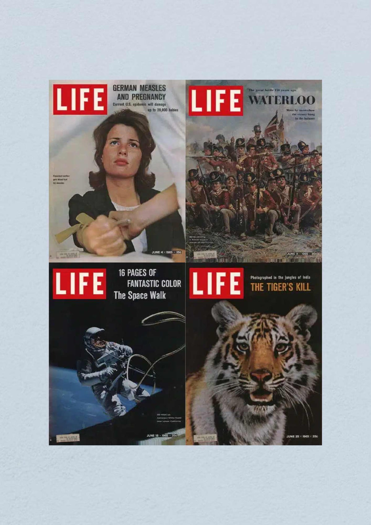 Life Magazine Lot of 4 Full Month June 1965 featuring 'German Measles and Pregnancy', 'Waterloo', 'The Space Walk', and 'The Tiger's Kill' - a significant collection reflecting the Civil Rights Era.