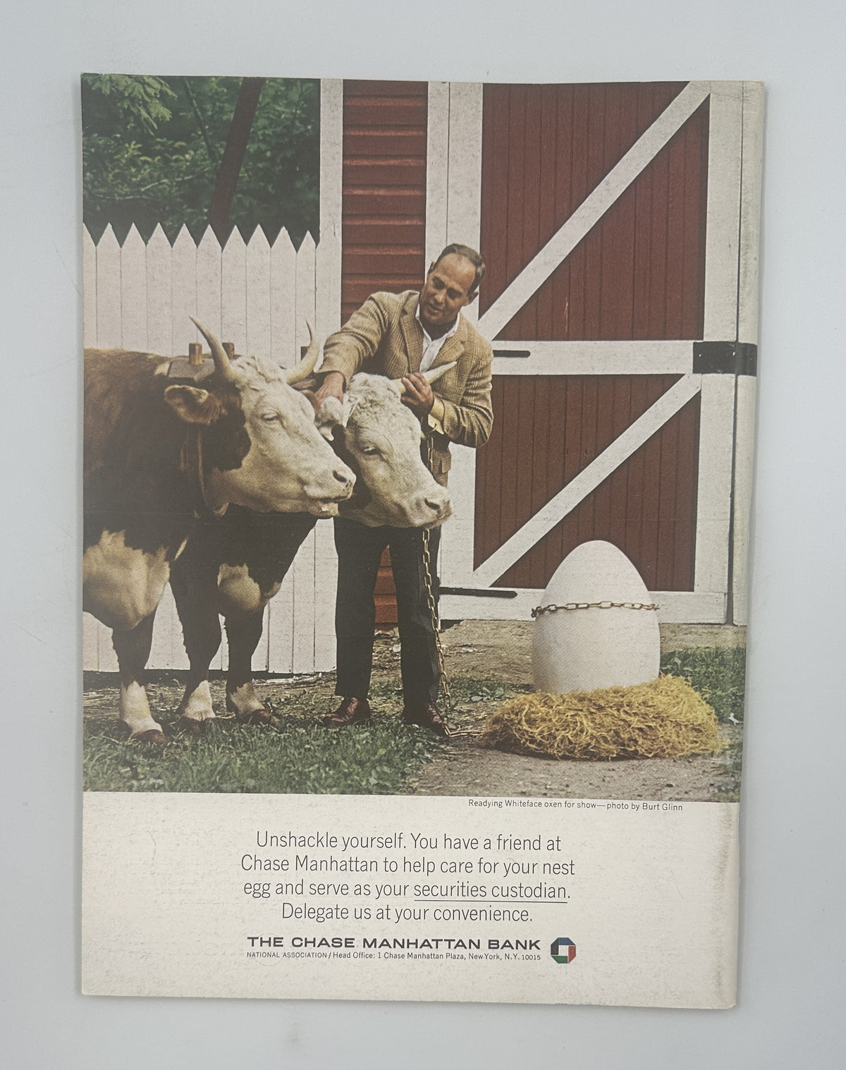 The New Yorker Magazine August 20, 1966 Flower Insect William Steig Cover VG, featuring a vintage farm scene advertisement with cattle and a farmer.