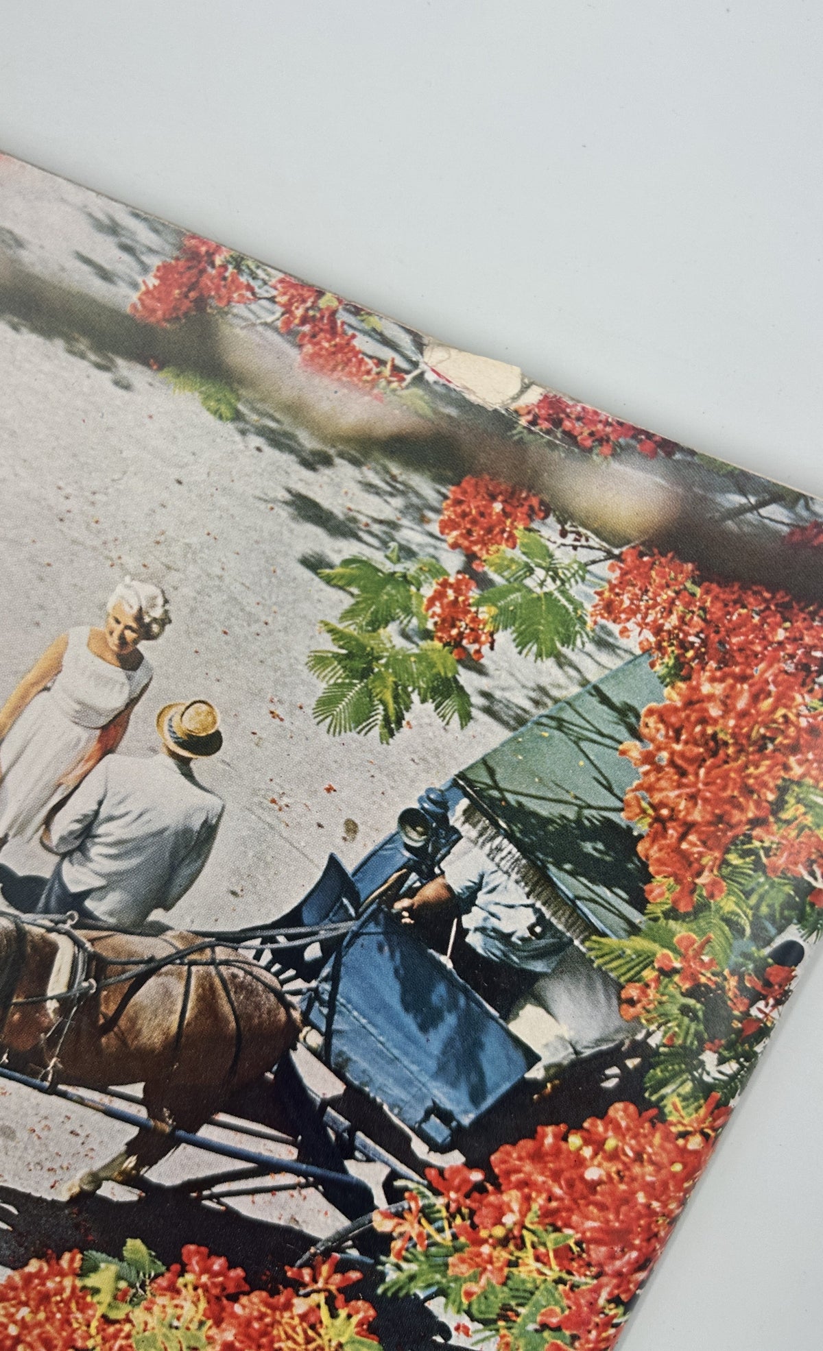 The New Yorker Magazine December 14, 1963 Christmas Tree Market Arthur Getz Cover, interior vintage Christmas advertisement showing a horse-drawn carriage surrounded by red flowers.