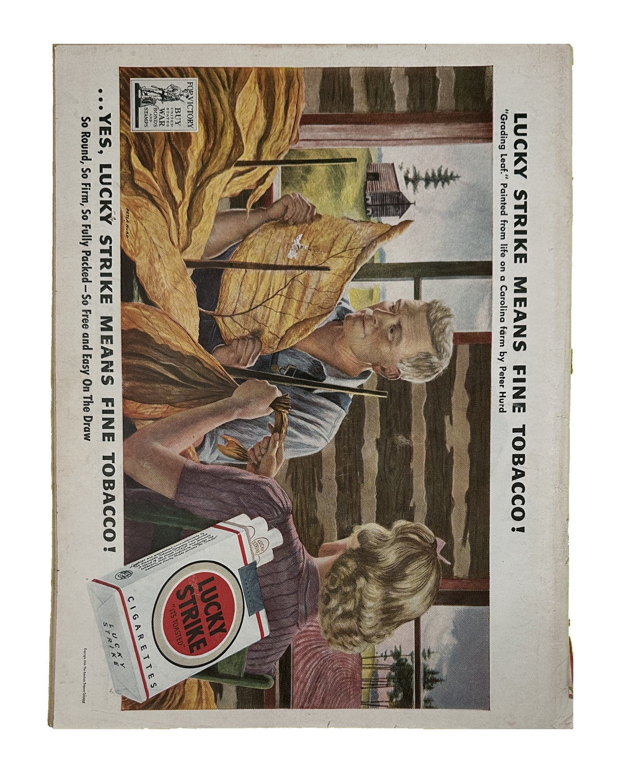 S334_337_NCA8 back