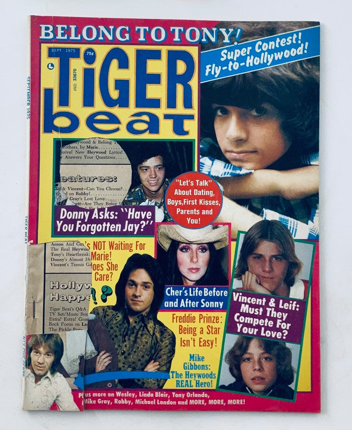 Cover of Tiger Beat Magazine September 1975 showcasing Donny & Marie Osmond and Leif Garrett, featuring vibrant colors and headlines reflecting 1970s pop culture.