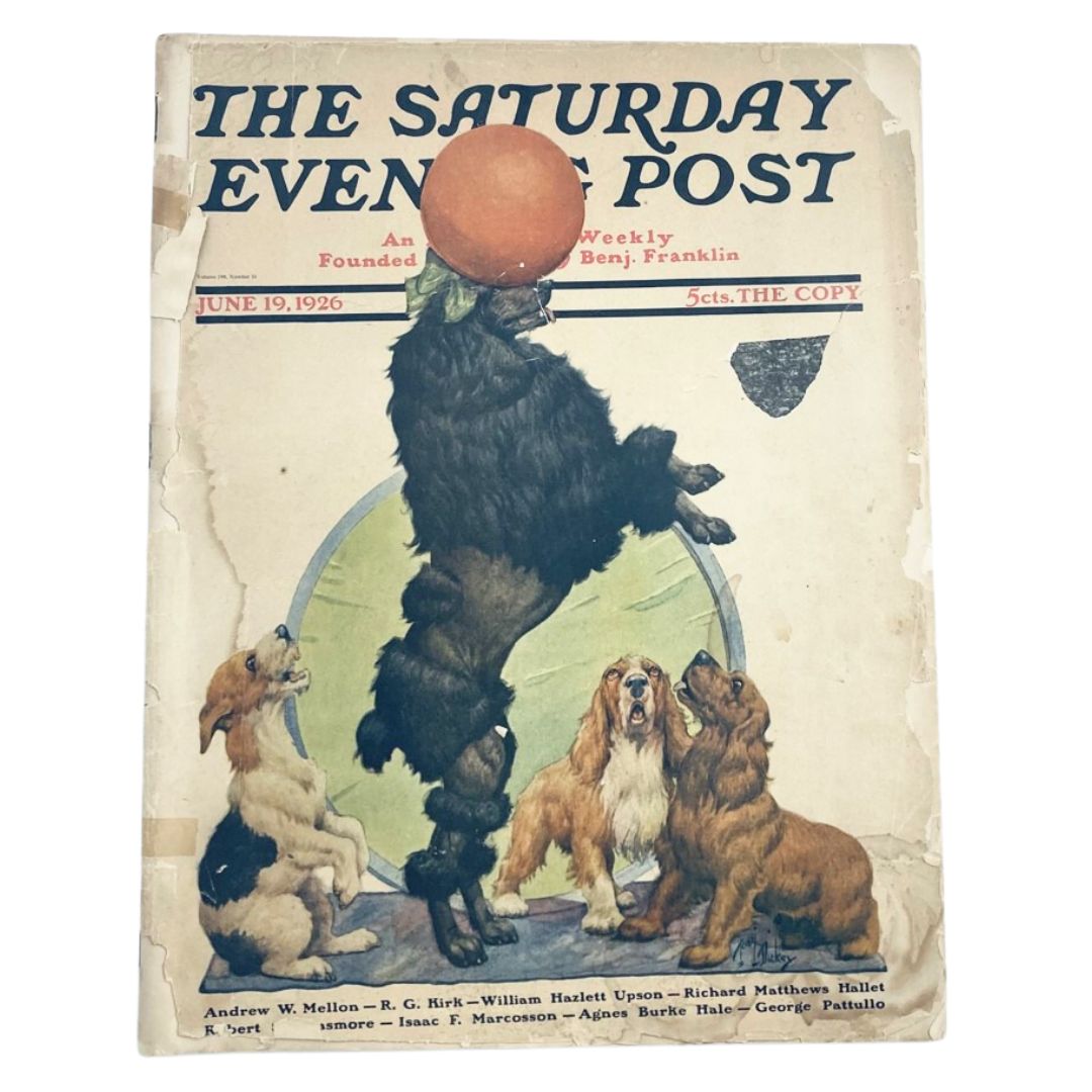 Cover of The Saturday Evening Post Magazine dated June 19, 1926, featuring a humorous illustration of a bear and dogs. A nostalgic representation of the Roaring Twenties.