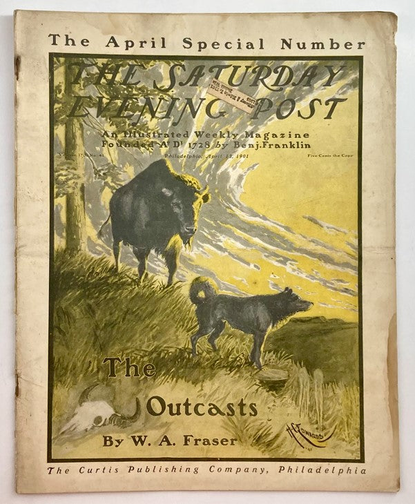 Vintage cover of the Saturday Evening Post Illustrated Magazine from April 13, 1901, featuring artwork depicting a buffalo and a dog, titled 'The Outcasts' by W.A. Fraser. Ideal for collectors and those interested in early 20th-century American culture.
