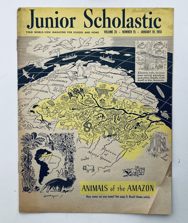 VTG Junior Scholastic Magazine, January 19, 1955, featuring 'Animals of the Amazon'. The cover showcases a colorful map of the Amazon region and illustrations of wildlife, highlighting the educational theme of biodiversity.