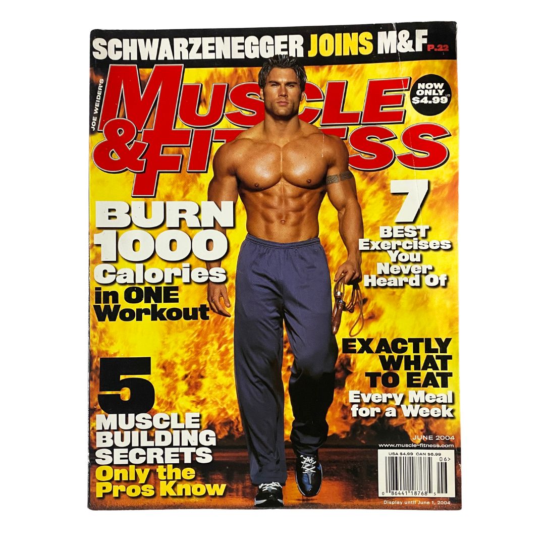 Cover of Muscle & Fitness Magazine June 2004 Vol 65 No. 6 featuring a muscular man posing in front of a fiery background, highlighting fitness tips and bodybuilding secrets.
