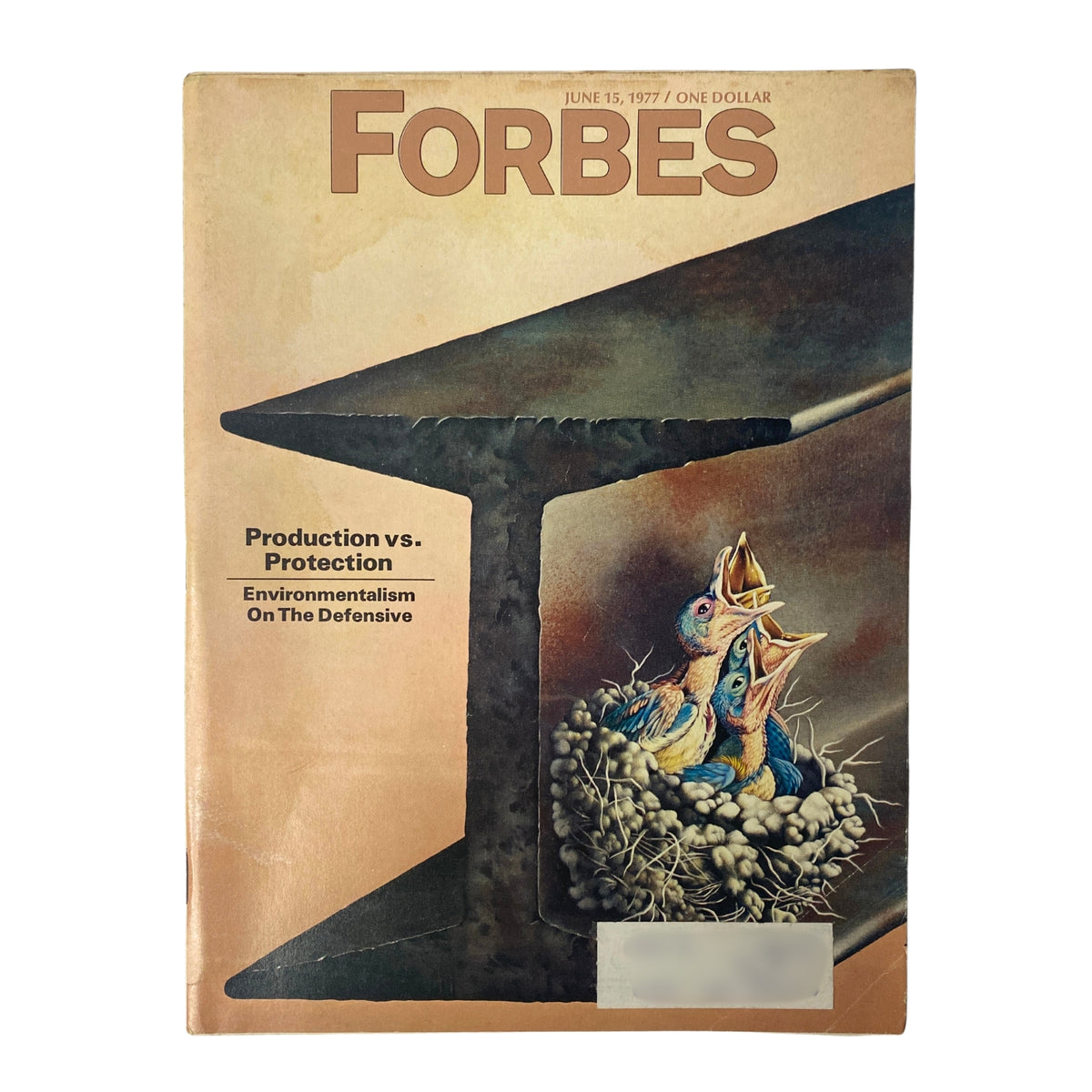 Forbes Magazine June 15, 1977 cover featuring the title 'Production vs. Protection' and the cover story 'Environmentalism On The Defensive' with artistic illustration of birds.