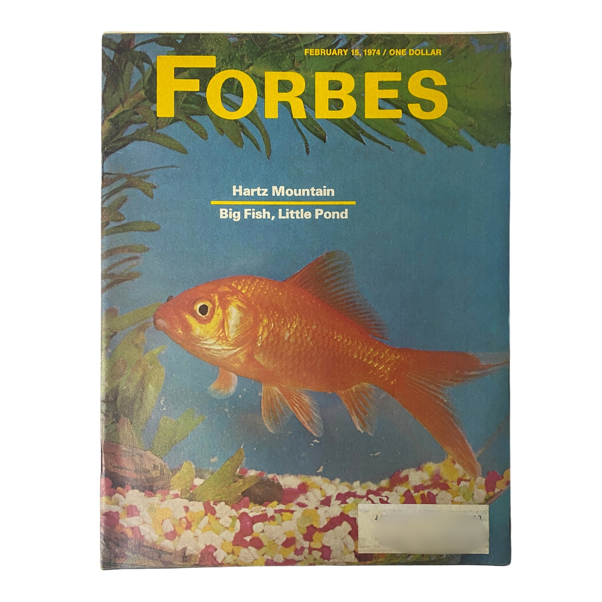 Cover of Forbes Magazine dated February 15, 1974, featuring the title 'Hartz Mountain: Big Fish, Little Pond' alongside a goldfish and vibrant aquatic background.