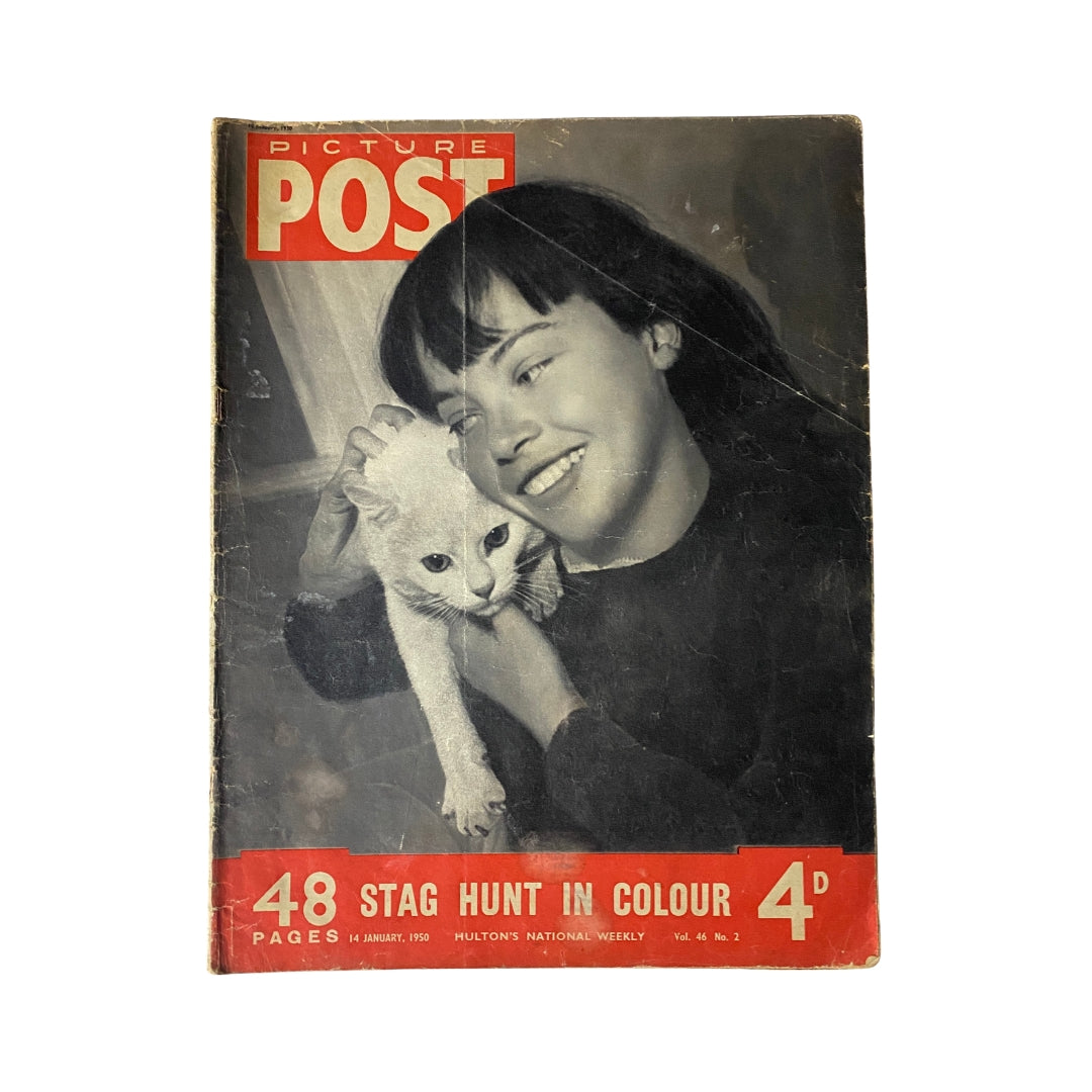 Vintage Picture Post Magazine January 14, 1950 cover featuring a girl smiling while holding a white cat, highlighting the magazine's nostalgic charm.