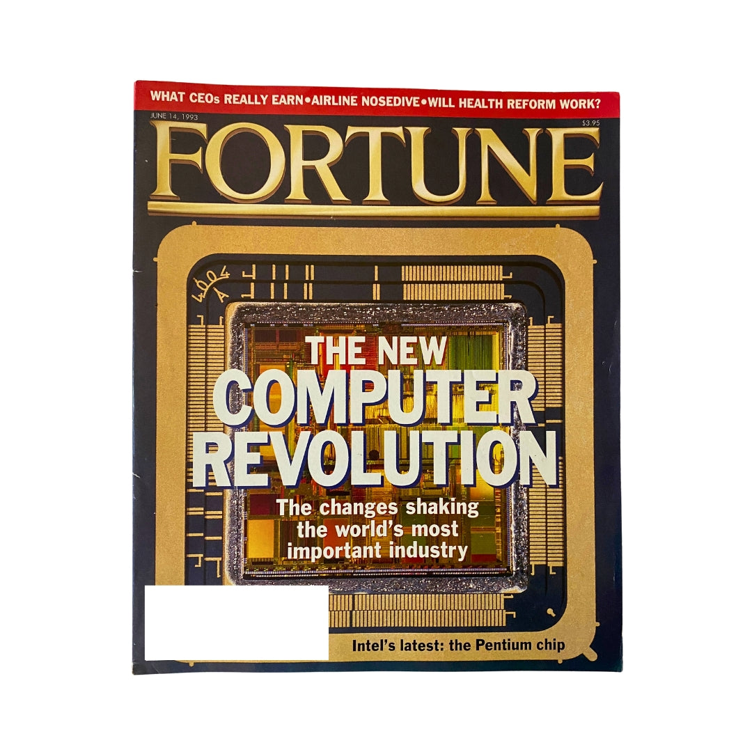 Fortune Magazine June 14, 1993 The New Computer Revolution VG