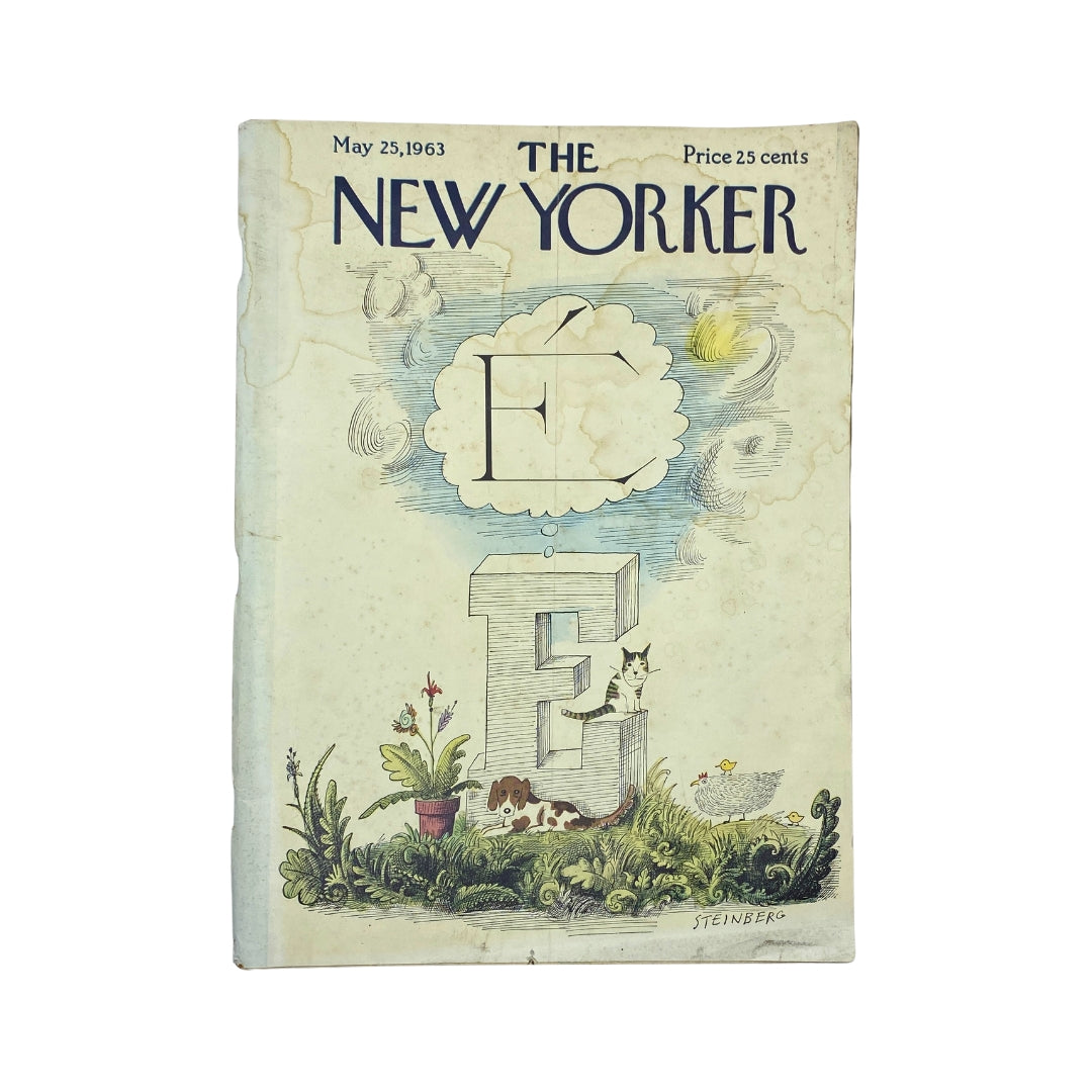 Cover of The New Yorker magazine dated May 25, 1963 featuring a whimsical illustration by Saul Steinberg, showcasing a large letter 'E' with playful elements like a cat and dog in a garden setting.