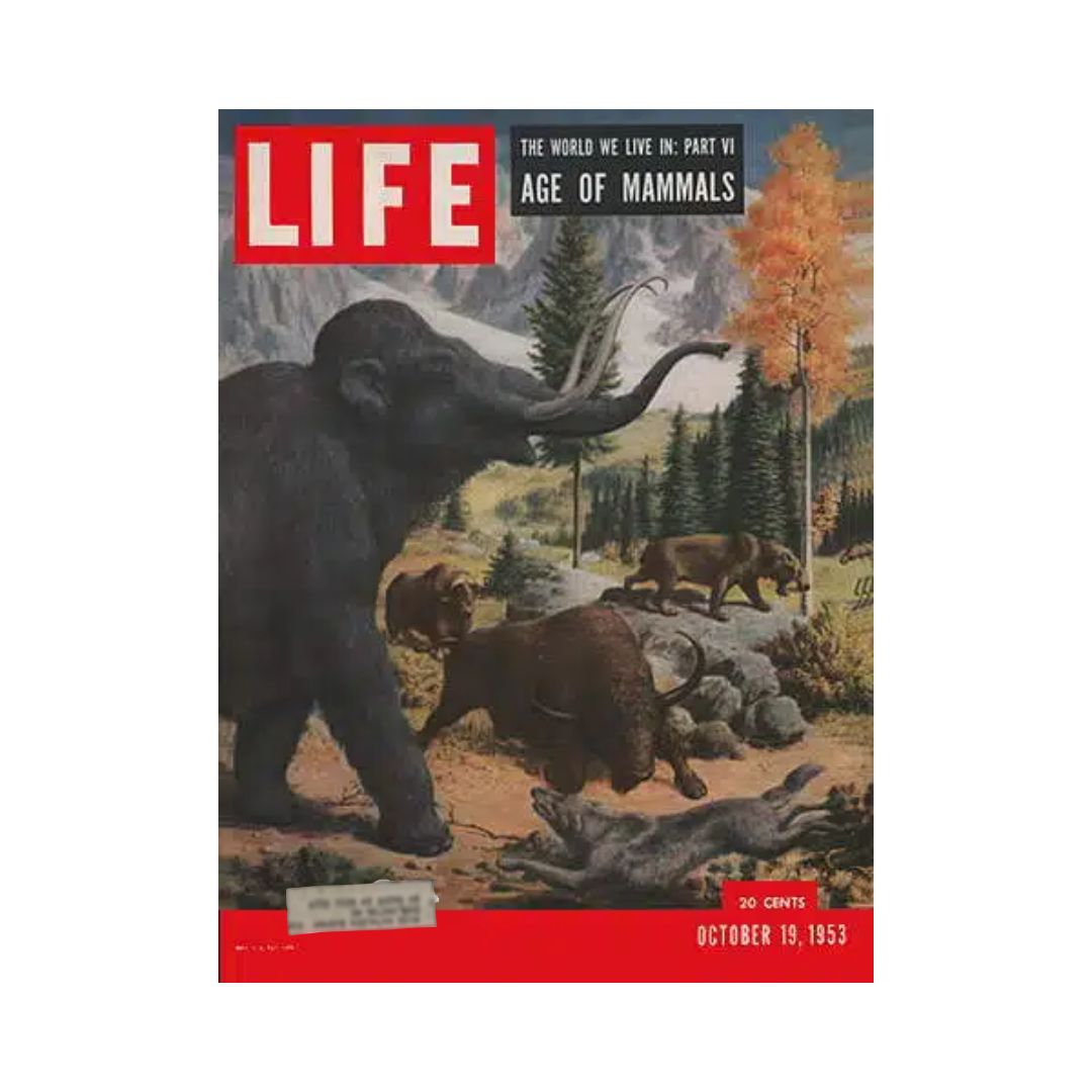 Cover of VTG Life Magazine from October 19, 1953, featuring an illustration of mammals including a woolly mammoth and other prehistoric creatures, highlighting the Age of Mammals.