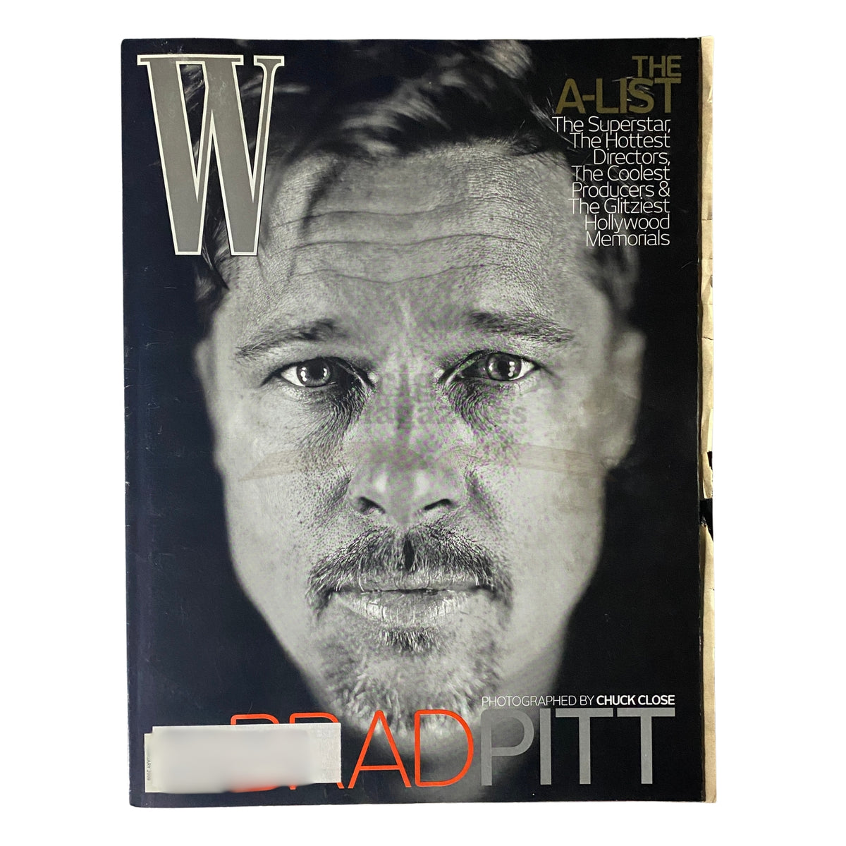 W Magazine February 2009 cover featuring A-list actor Brad Pitt, photographed by Chuck Close, showcasing a striking black-and-white portrait.