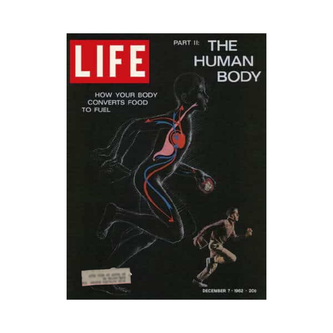 Vintage Life Magazine cover from December 7, 1962, titled 'The Human Body: How Your Body Converts Food to Fuel', featuring a graphical illustration of the human body highlighting its energy conversion process.