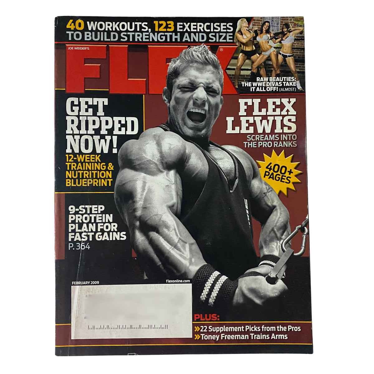 Flex Magazine February 2009 Vol 26, Num 12 James Lewis Cover VG