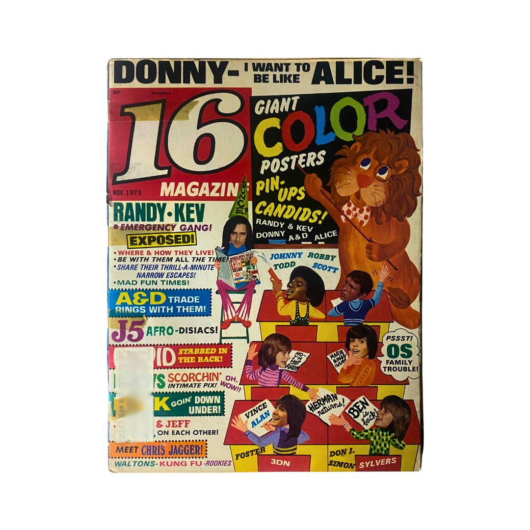 Cover of VTG 16 Magazine November 1973 featuring David Cassidy, Simon Turner, and Scott Jacoby, with vibrant colors and promotional details.