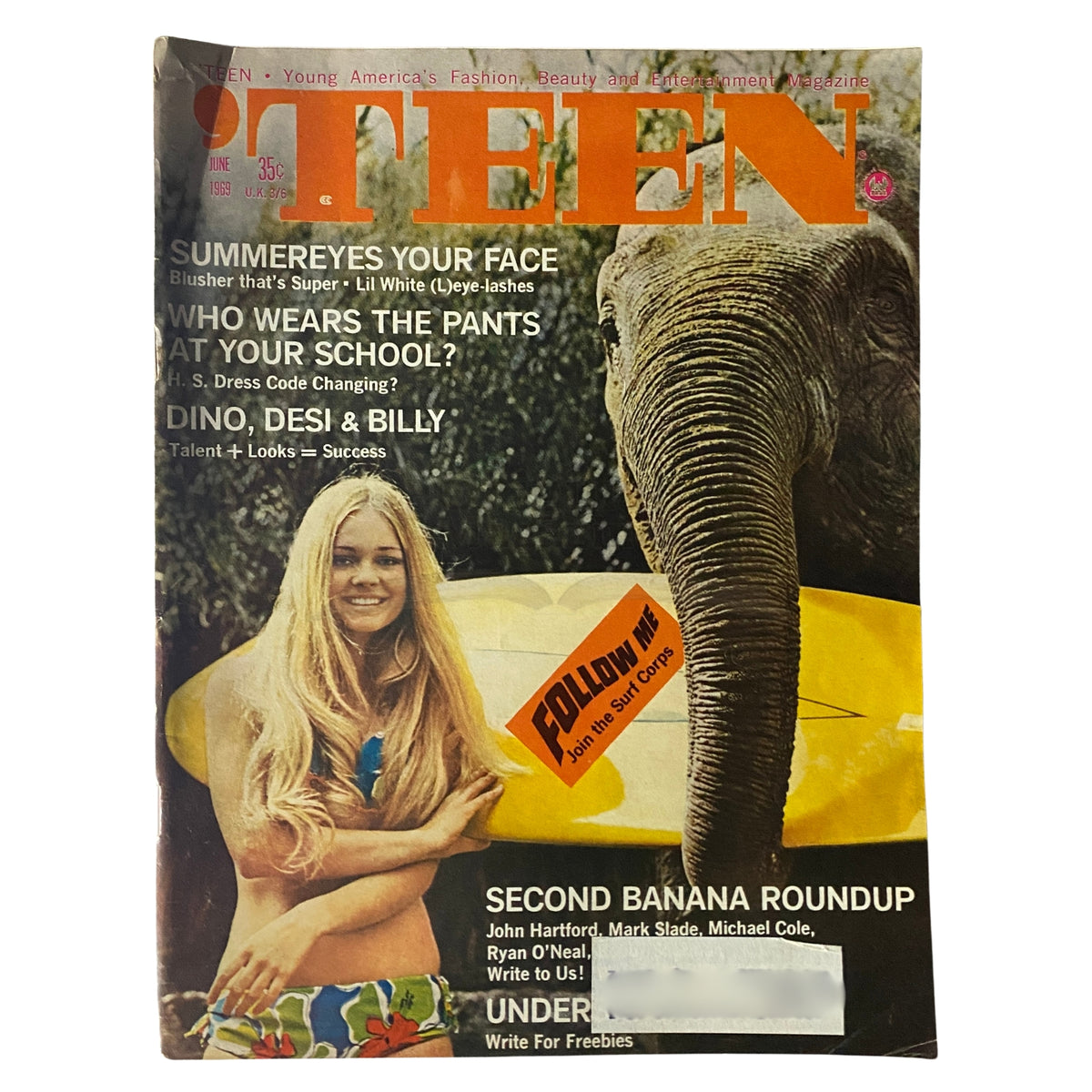 Teen Magazine June 1969 cover featuring a girl with long hair in swimwear alongside an elephant, showcasing the themes of youth and culture from the '60s.