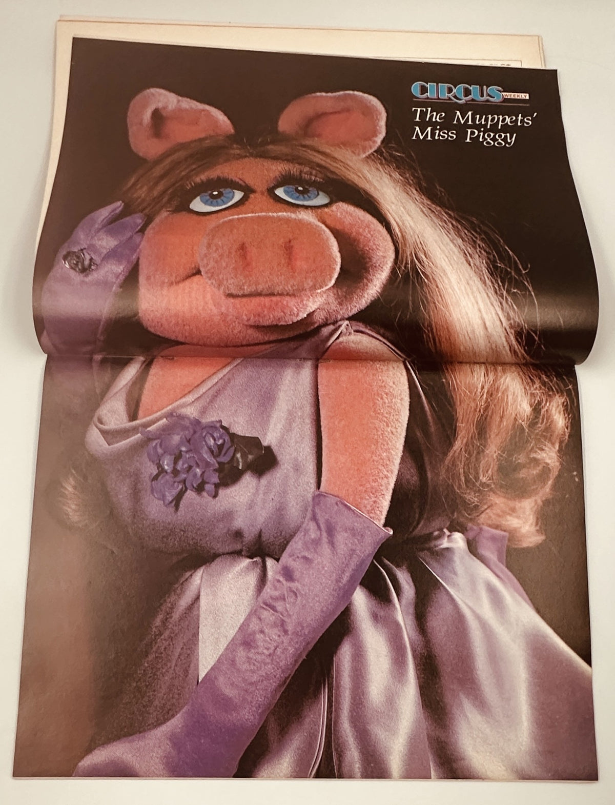 Full-color centerfold of Miss Piggy from Circus Magazine March 20, 1979, showcasing her glamorous pose and iconic style.
