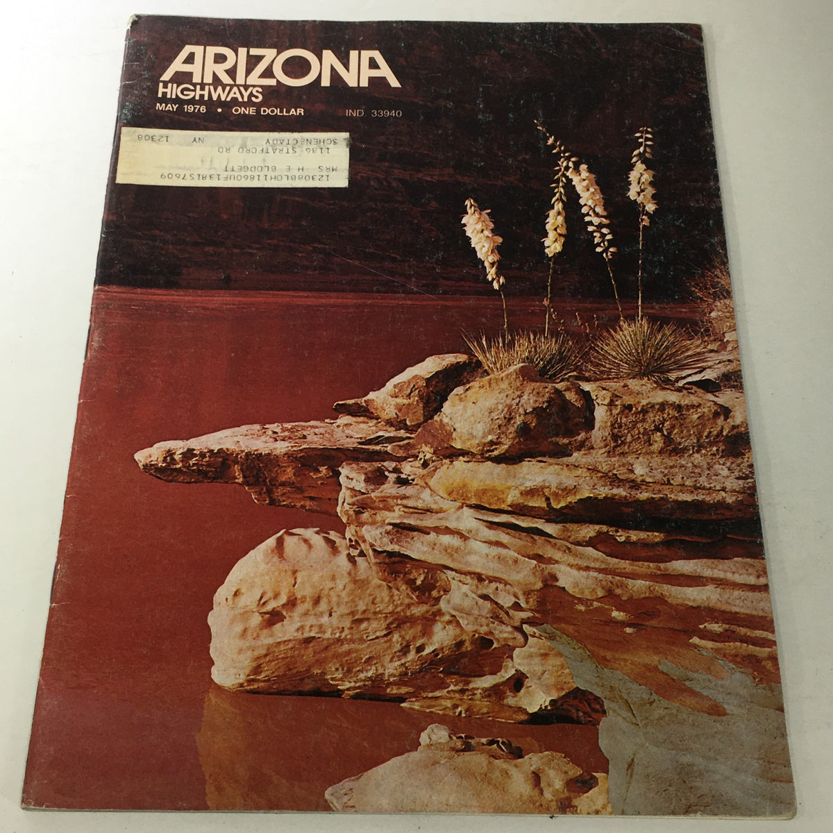 Cover of VTG Arizona Highways Magazine, May 1976, featuring Narrowleaf Yucca alongside the Colorado River, showcasing Arizona's natural beauty.