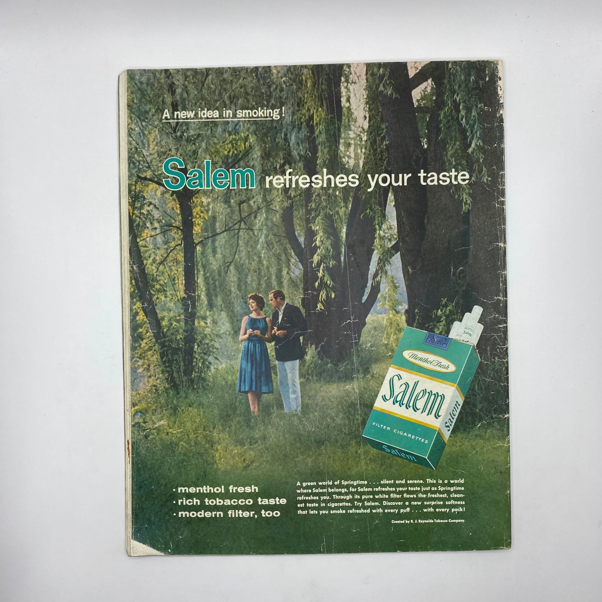 Saturday Evening Post Magazine June 13 1959 cover featuring the artwork 'Papa Muffs' by John Clymer, showcasing a couple in a lush, green landscape with a Salem cigarette advertisement that reads 'menthol fresh, rich tobacco taste, modern filter too'.