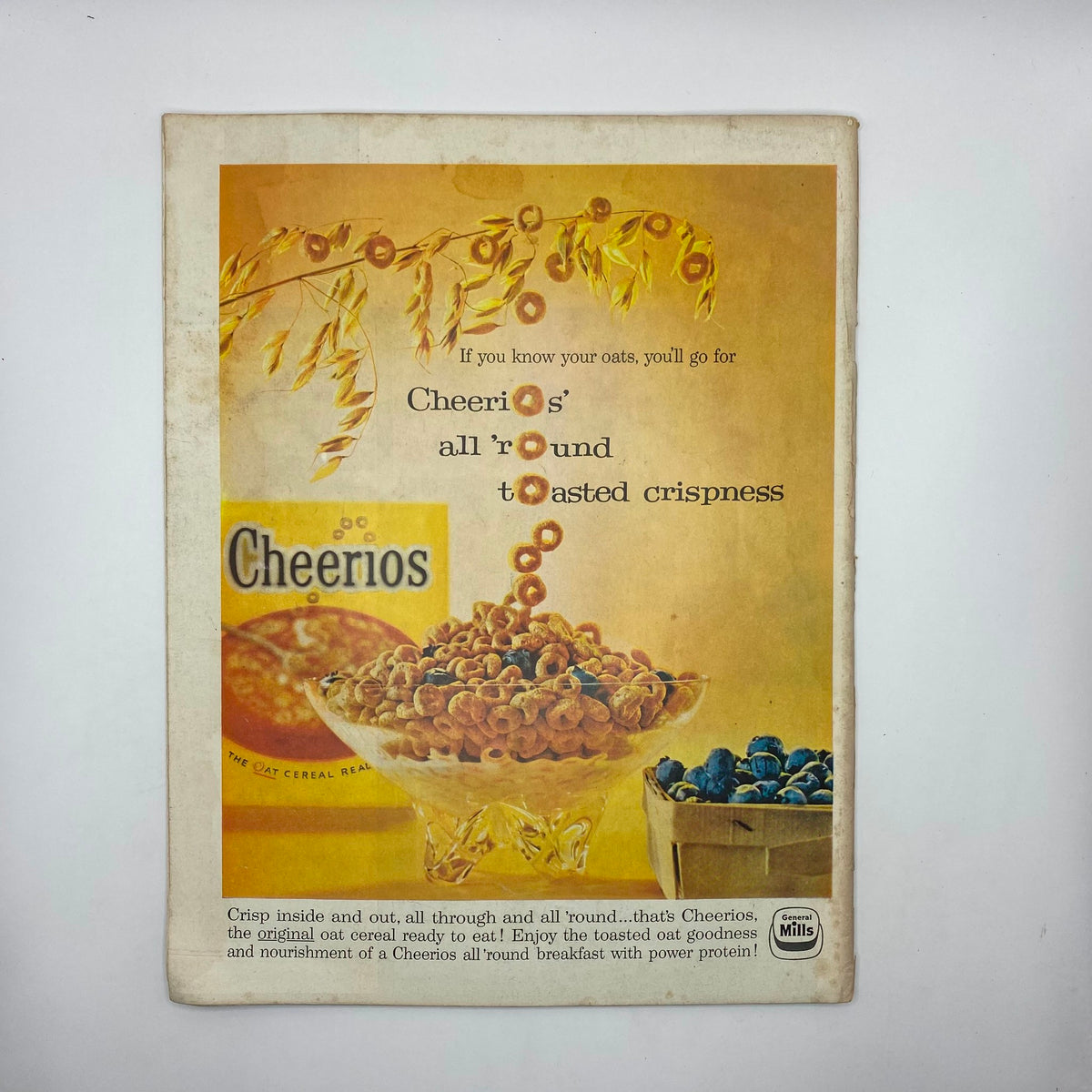 Back cover of the October 31, 1959, Saturday Evening Post Magazine titled 'Bruisers', featuring an advertisement for Cheerios cereal with an artistic display of the product and the tagline promoting its toasted crispness.
