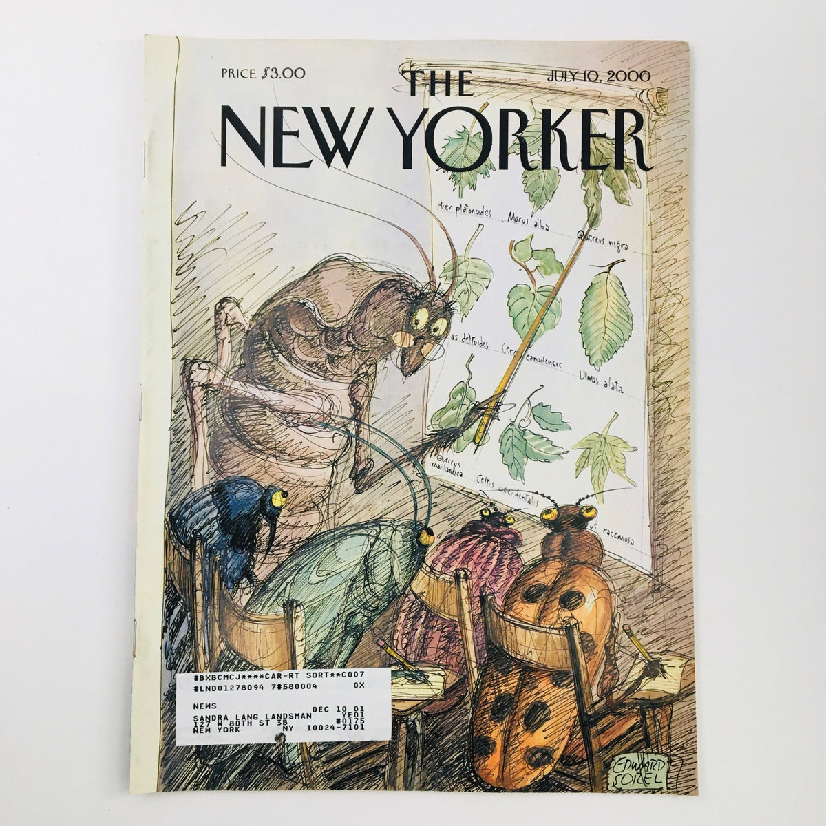 The New Yorker Full Magazine July 10 2000 featuring cover art by Edward Sorel, depicting whimsical insects in a classroom setting, themed 'Summer School'.