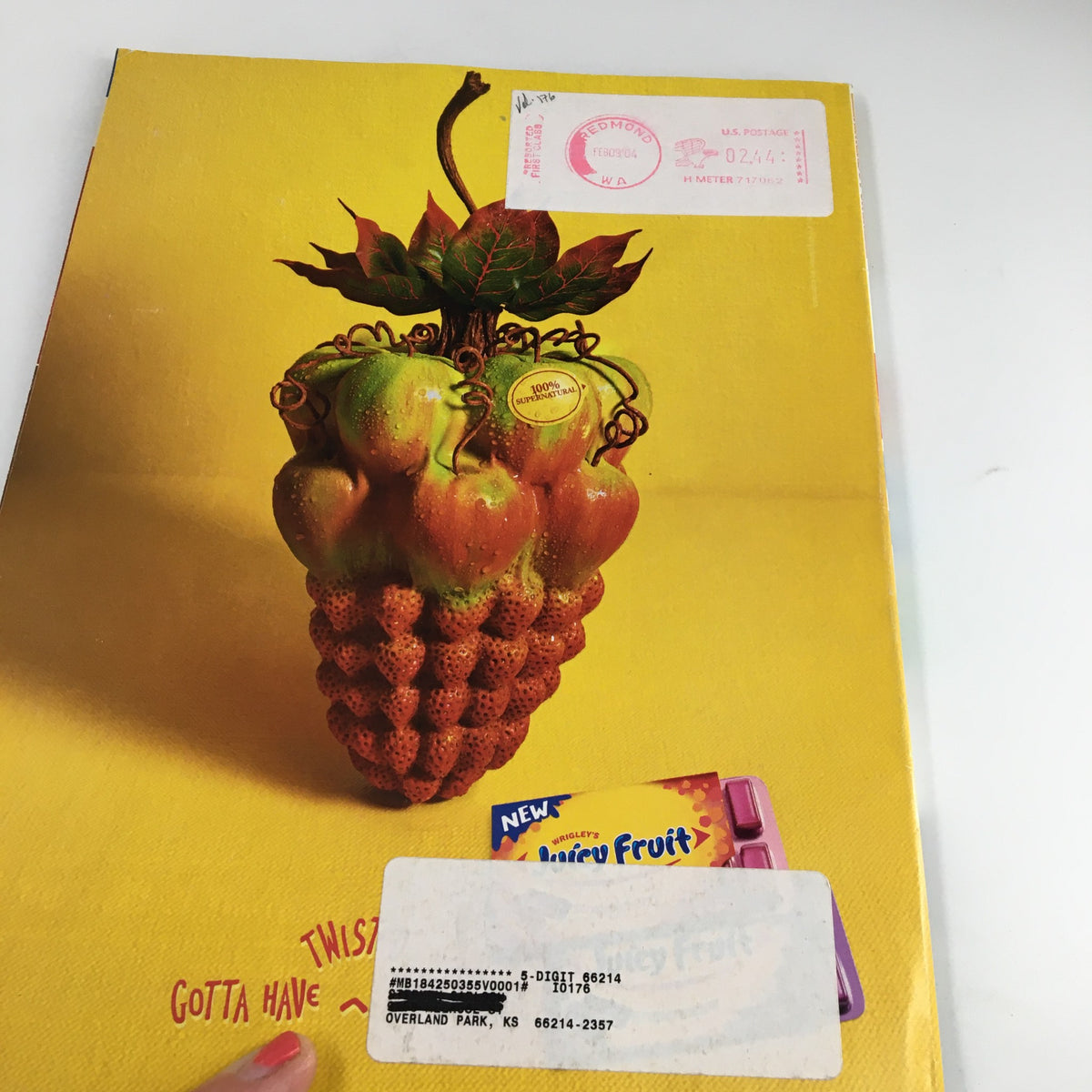 Back cover of Nintendo Power Magazine Vol 176, February 2004 featuring a whimsical design of fruits with a promotional label, complementing the magazine's vintage appeal.