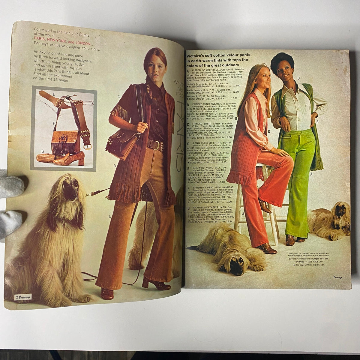 Inside pages of the 1970 JC Penneys Fall and Winter Store Catalog showcasing women's fashion, including wide-leg pants and layered outfits with a dog.