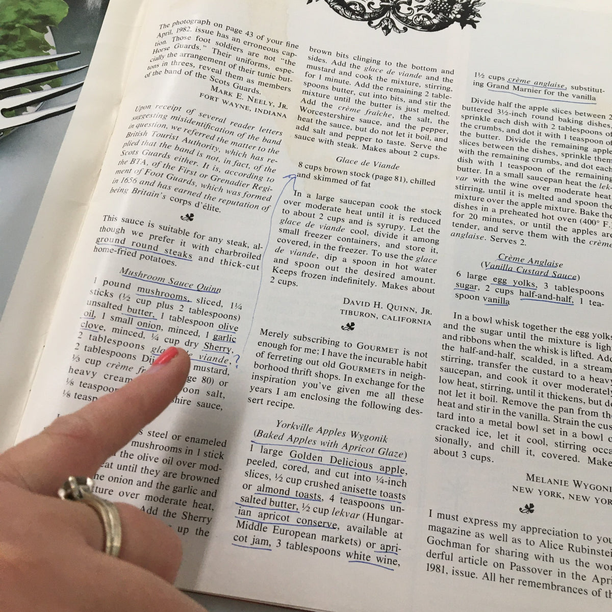 Detailed recipe section in VTG Gourmet Magazine August 1982, featuring ingredients and methods for gourmet cooking, paired with handwritten notes for a personal touch.