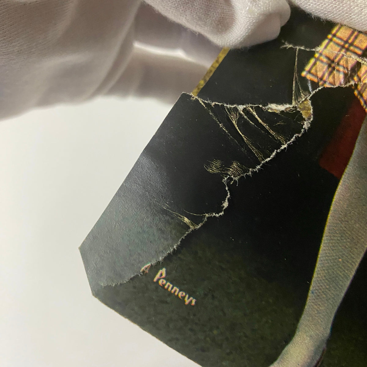 Close-up of a torn section of the 1966 JC Penneys Fall and Winter Store Catalog, showcasing the vintage branding of J.C. Penney and its historic catalog design.