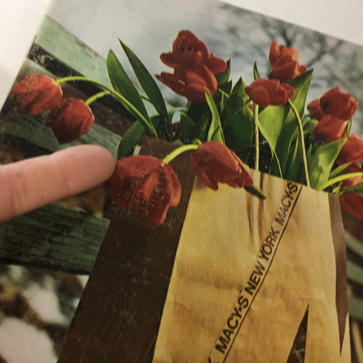 Close-up view of the VTG Macy's Spring Sale Store Catalog showcasing tulips in a bag, emphasizing the catalog design.