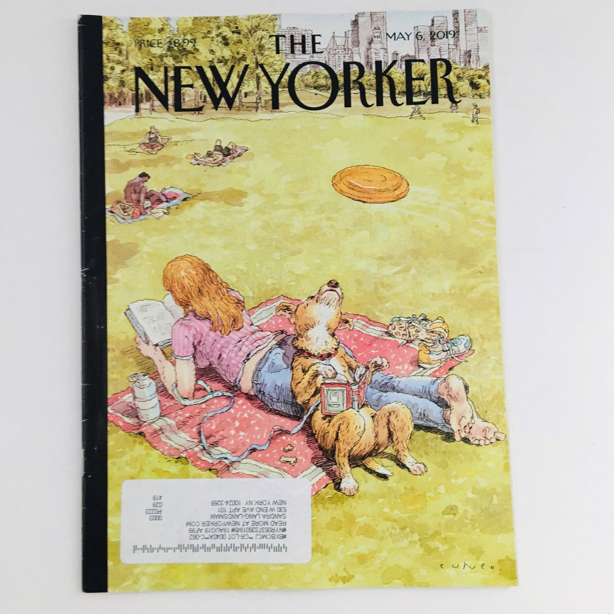 The New Yorker May 6 2019 Full Magazine Theme Cover by John Cuneo featuring a woman reading and a dog on a picnic blanket, capturing a serene outdoor scene.