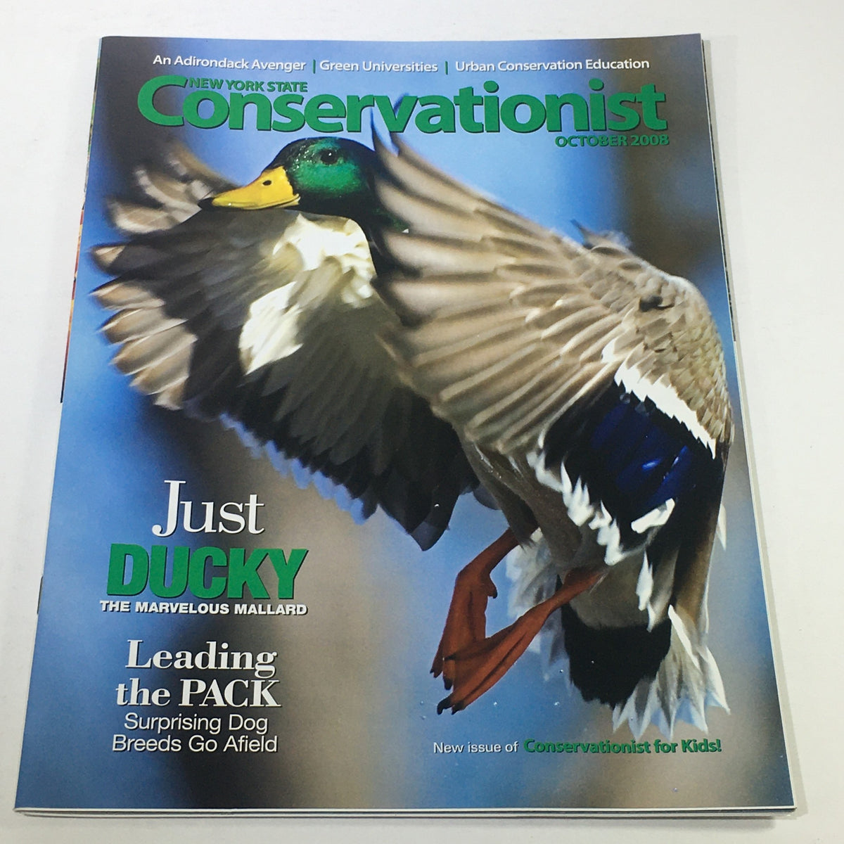 Cover of VTG New York State Conservationist: October 2008 featuring Ducky, The Marvelous Mallard, showcasing a mallard duck in flight with a vibrant green head and detailed feathers, emphasizing conservation themes.