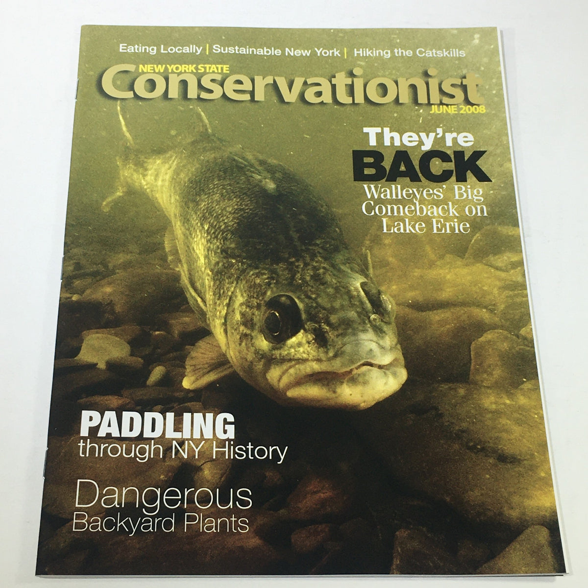 Cover of VTG New York State Conservationist from June 2008 featuring a walleye fish, highlighting 'Walleye's Big Comeback' in Lake Erie, with articles on paddling through NY history and dangerous backyard plants.