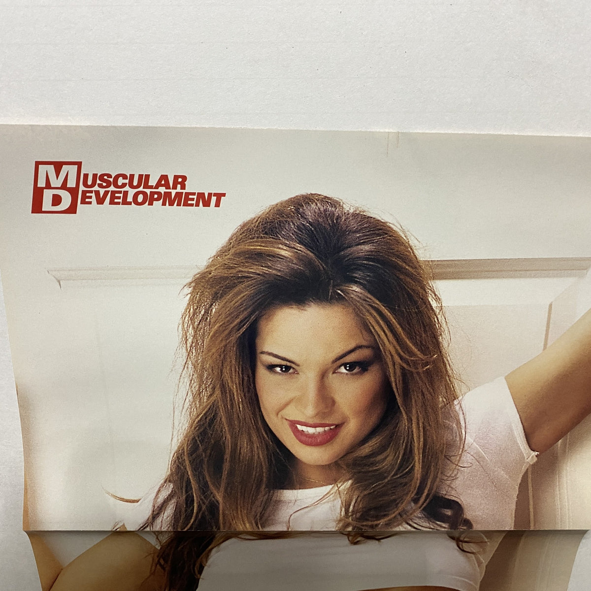 Poster from Muscular Development Magazine March 2002 featuring Brandy, highlighting vintage fitness aesthetics.