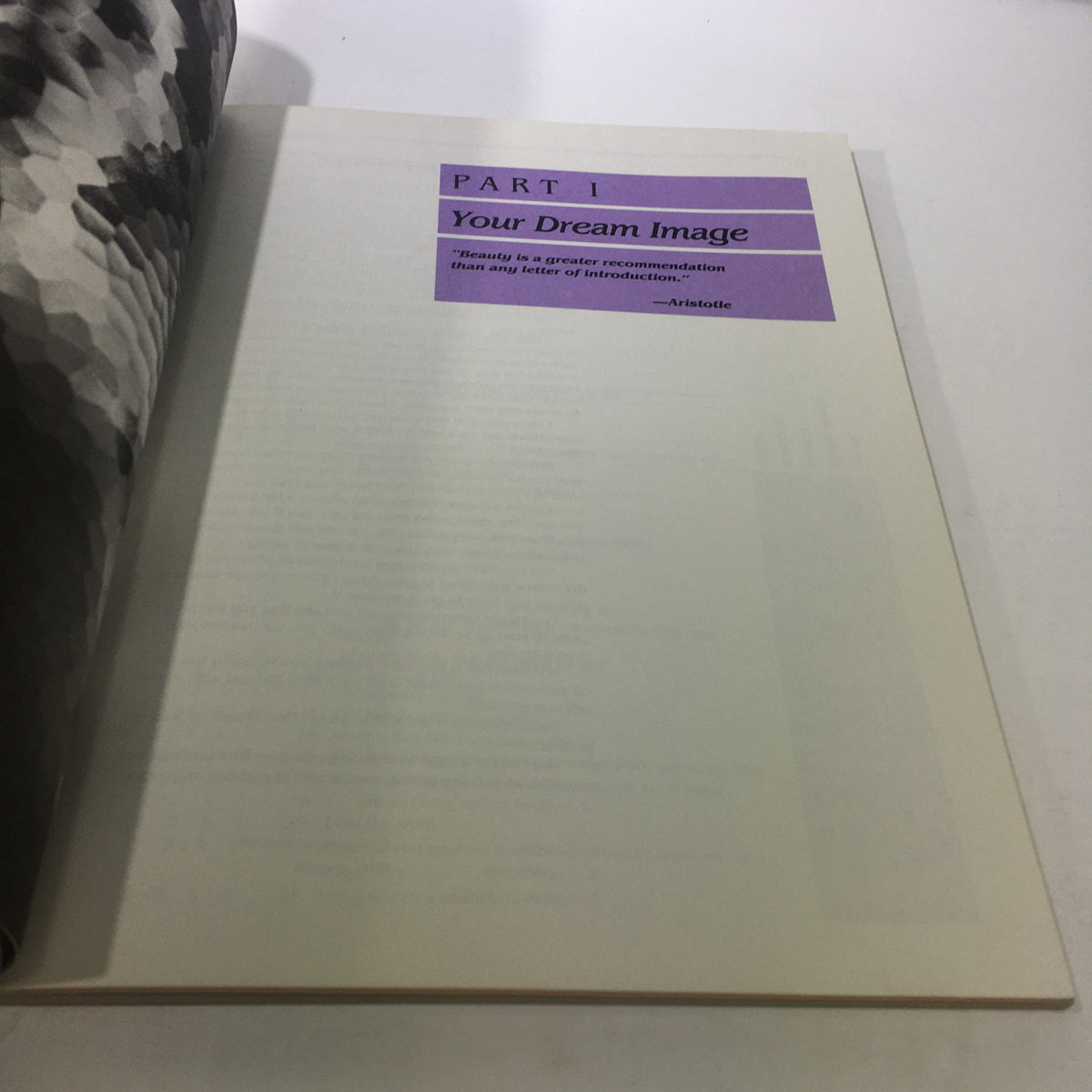 Page from 'The Tova Difference by Tova Borgninne: 1984 - A Promise of Lasting Beauty' featuring the section titled 'Your Dream Image' with an inspiring quote from Aristotle.