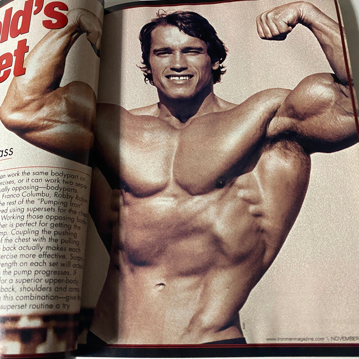Iron Man Magazine November 2004 Vol 63 No. 11 Arnold Schwarzenegger No Label