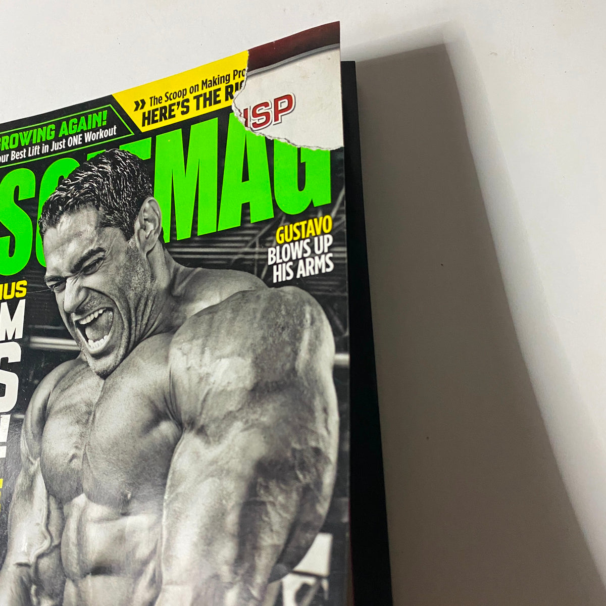 Close-up of MuscleMag Magazine August 2009 No. 327 featuring Gustavo Badell, highlighting the magazine’s title and cover details. This image captures the essence of bodybuilding culture from the late 2000s.